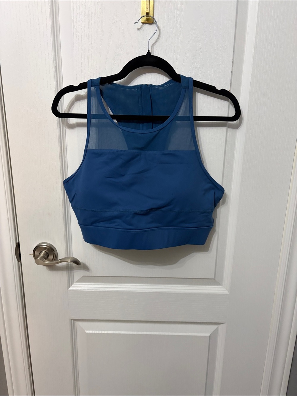 ZYIA Royal Blue Mesh-Panel Sports Bralette